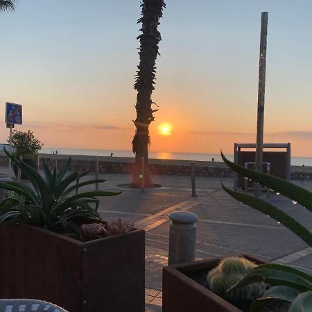 Suite 31 - Clim - Front De Mer Canet-en-Roussillon Eksteriør bilde